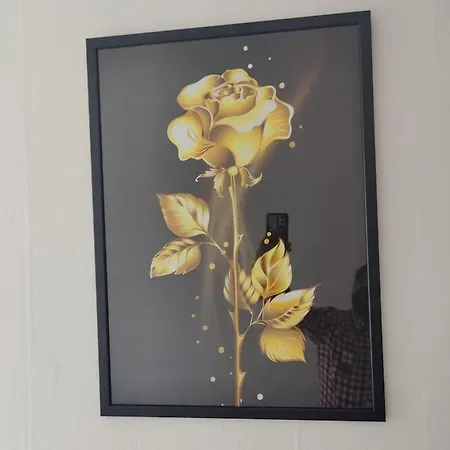 Apartamento Stunning In *
